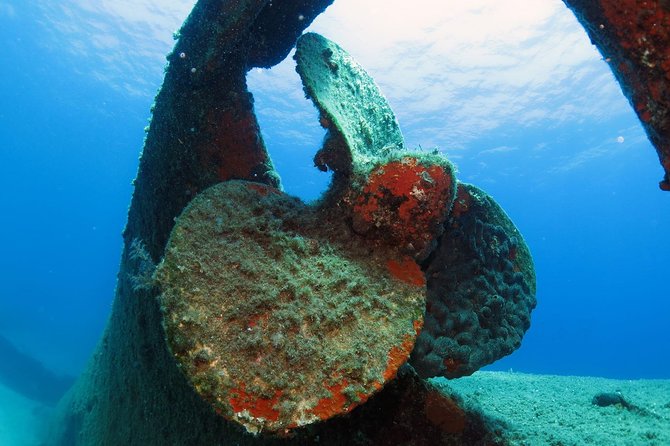 Snorkeling and Swimming Tour to the Poseidons Temple at Sounio Cape - Booking and Pricing