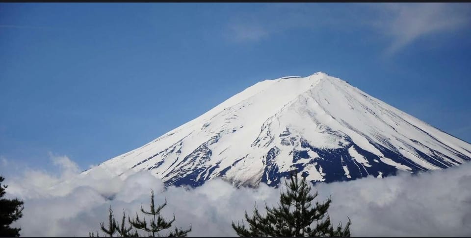 Sooperdooper 1 Day Trip to Mt.Fuji With Pick & Drop Service - Inclusions and Amenities