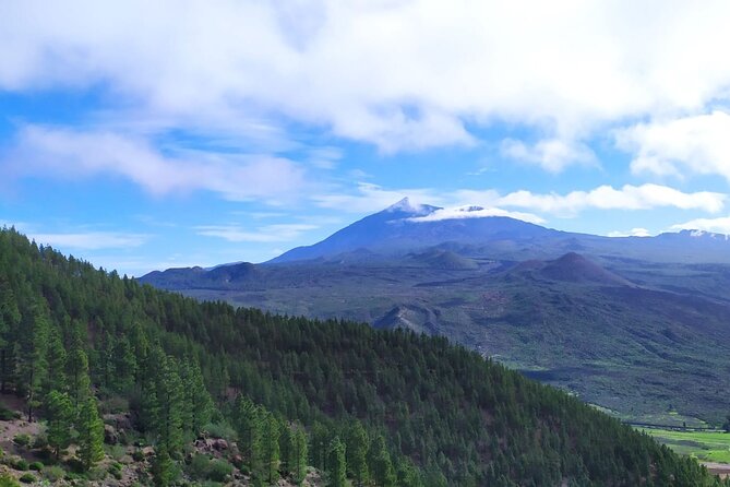 Tenerife: Hiking Through Enchanted Laurel Forest Above Masca - Tour Highlights