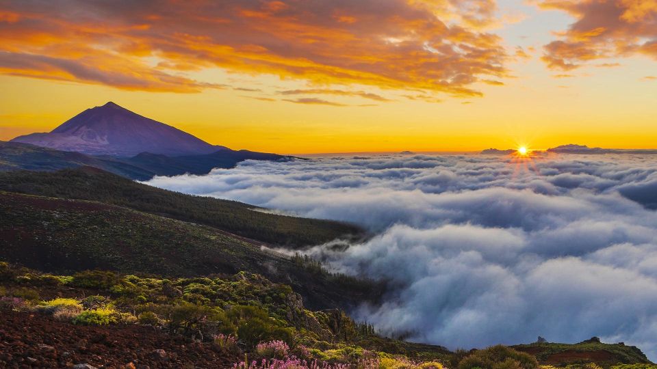 Tenerife: Teide & Stars + Guachinche Lunch + Cava Vip Tour - Important Information