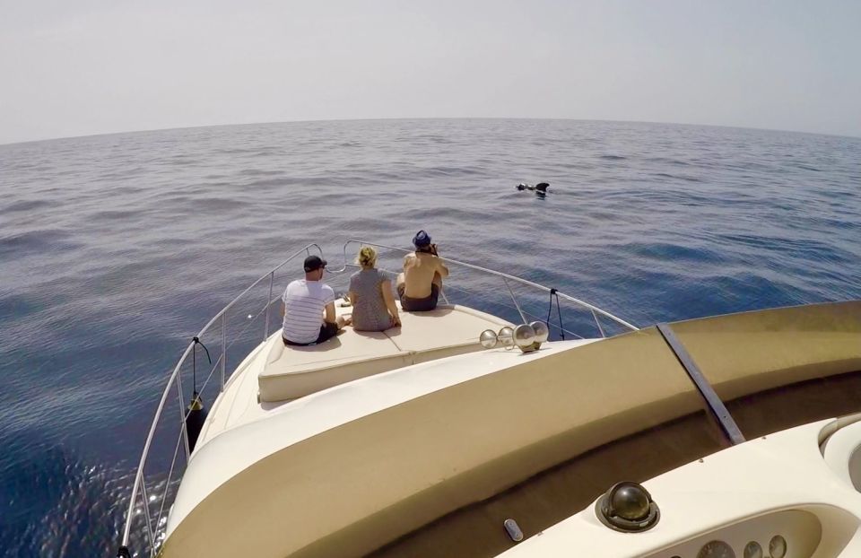 Tenerife: Whales and Snorkeling Tour on a Luxury Yacht - Booking and Cancellation Policy