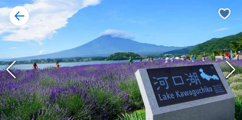 Tokyo: Mt. Fuji, Kawaguchi Lake, & Oshino Hakkai Day Trip - Transportation and Accessibility Details