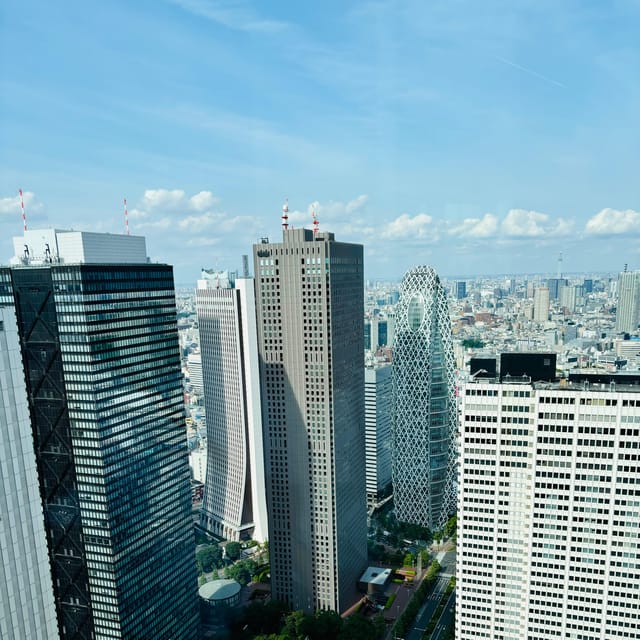 Tokyo: Shinjuku Panorama & Peace Tour With Izakaya Dinner - Savoring Authentic Izakaya Dinner