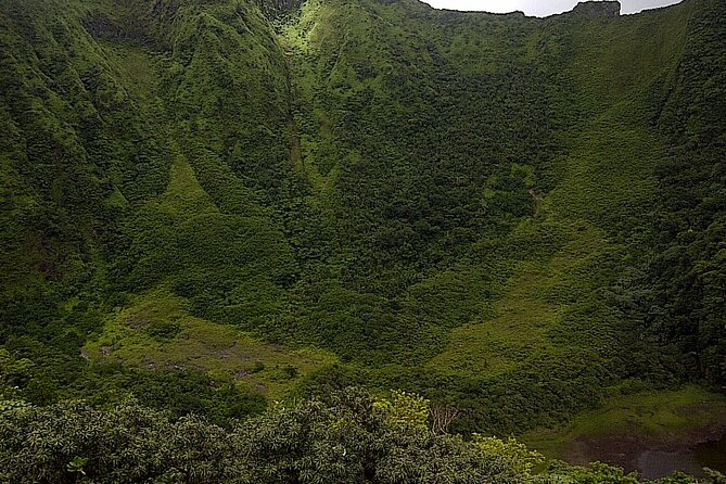 Trekking Mt. Liamuiga Volcano (Full-Day Guided ) - Traveler Ratings and Reviews