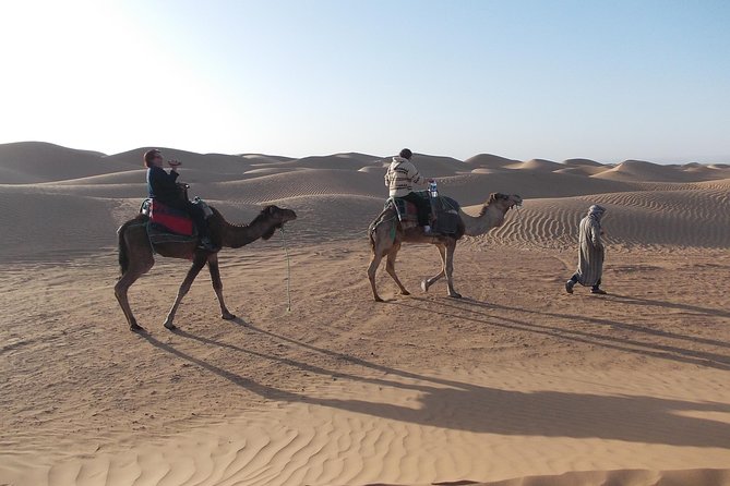 Two Days in the Zagora Desert, Drâa Valley From Marrakech - Booking and Inquiries