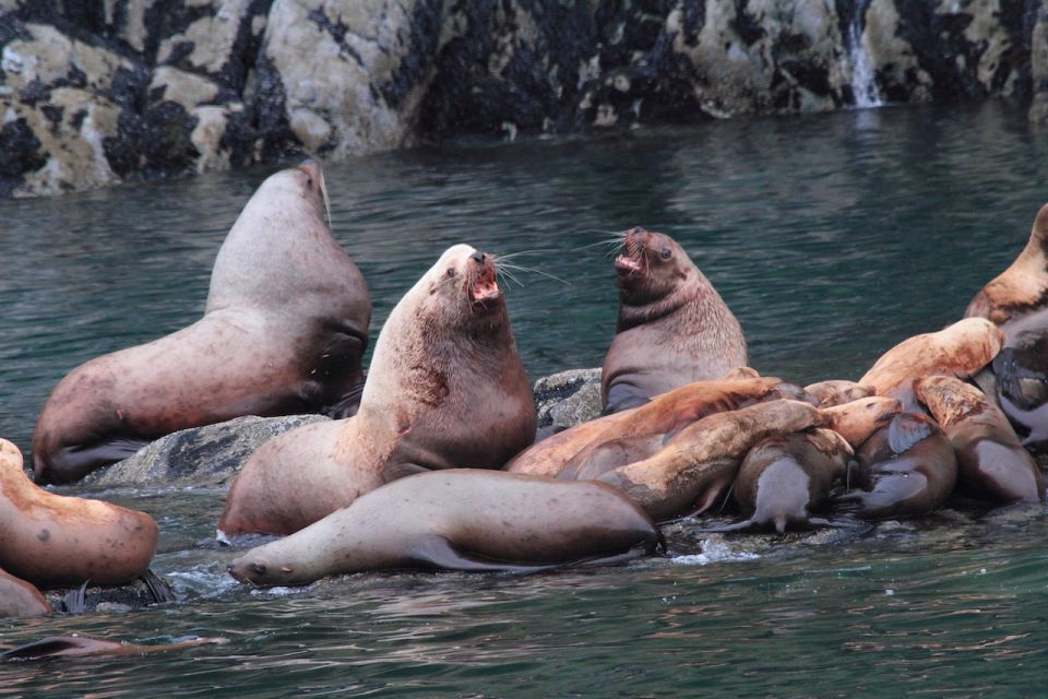 Valdez: 6-Hour Columbia Glacier Cruise - Historical and Natural Insights