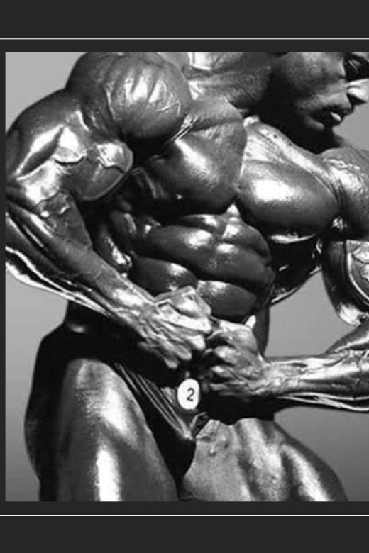 Vince Taylor Bodybuilding Experience - Inclusions and Pricing