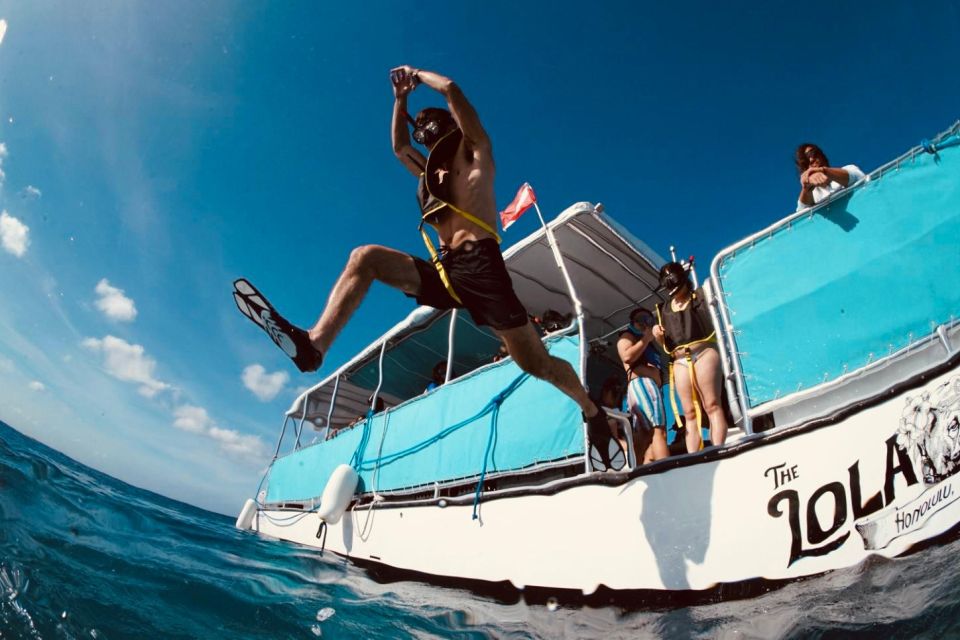 Waikiki: Snorkel Tour With Hawaiian Green Sea Turtles - Meeting Point and Directions