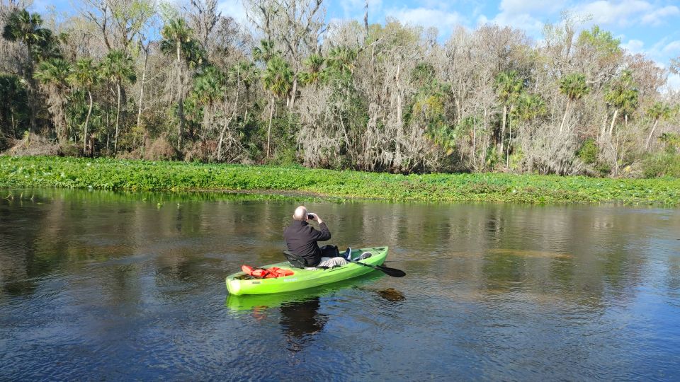 Wekiva Wildlife Kayaking Adventure Tour - Customer Feedback