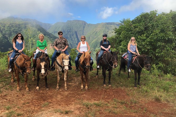 West Maui Mountain Waterfall and Ocean Tour via Horseback - Petting Zoo Experience