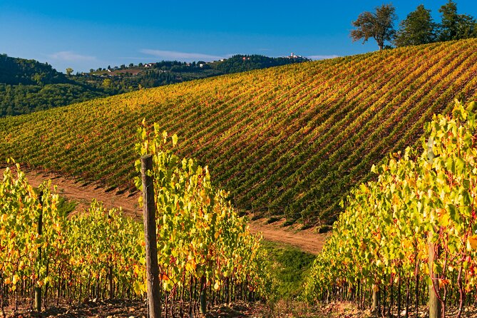 Wineries Tour and Wine Tastings in Chianti Hills From Florence - Multilingual Tour Leader