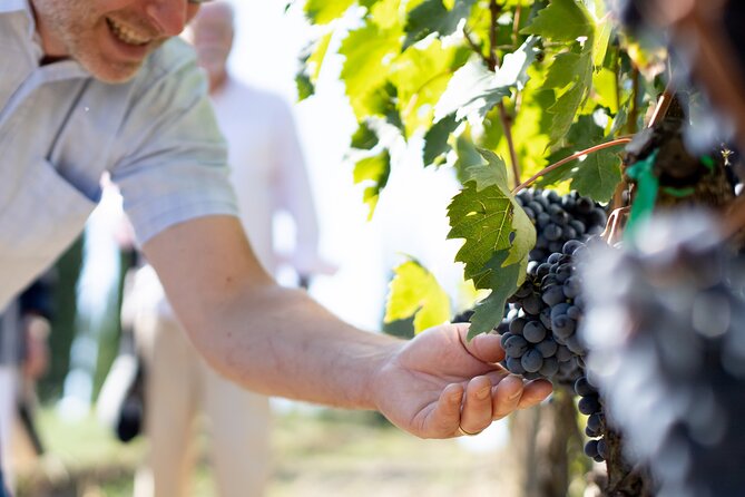 Winery Tour & Gourmet Tasting in Montalcino - Organic-Biodynamic Agriculture Showcase