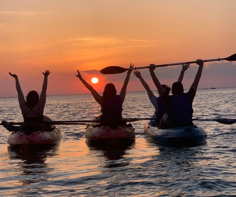 Anna Maria Island and Bradenton: Sunset Kayak Dolphin Tour - Frequently Asked Questions