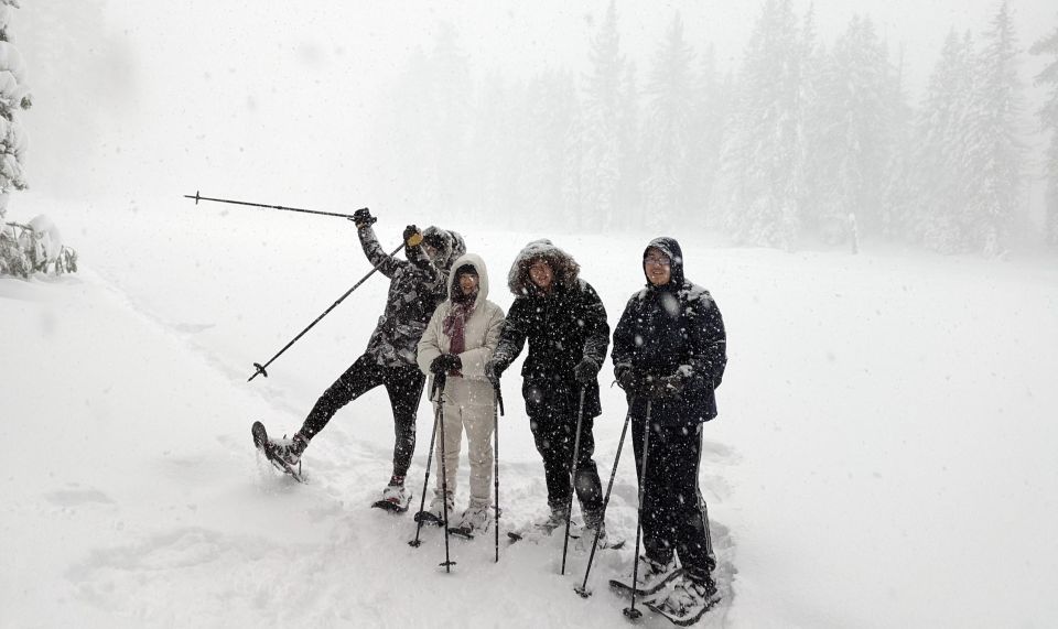 Beginner and Family Snowshoe Tour - Frequently Asked Questions