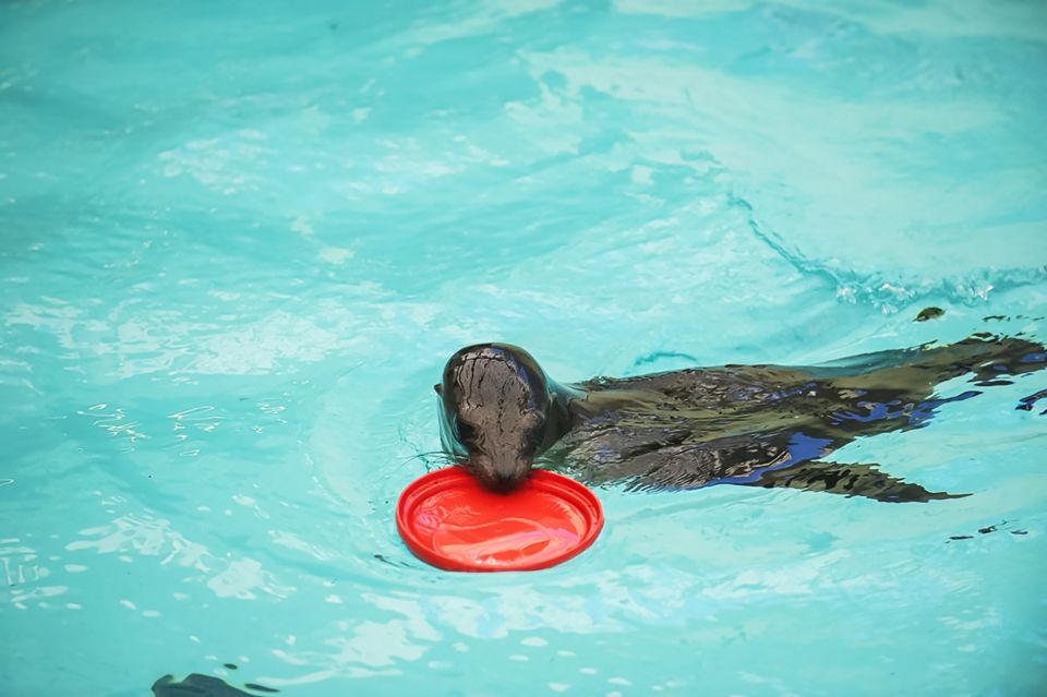 Boston: New England Aquarium Skip-the-Line Entry Ticket - Frequently Asked Questions