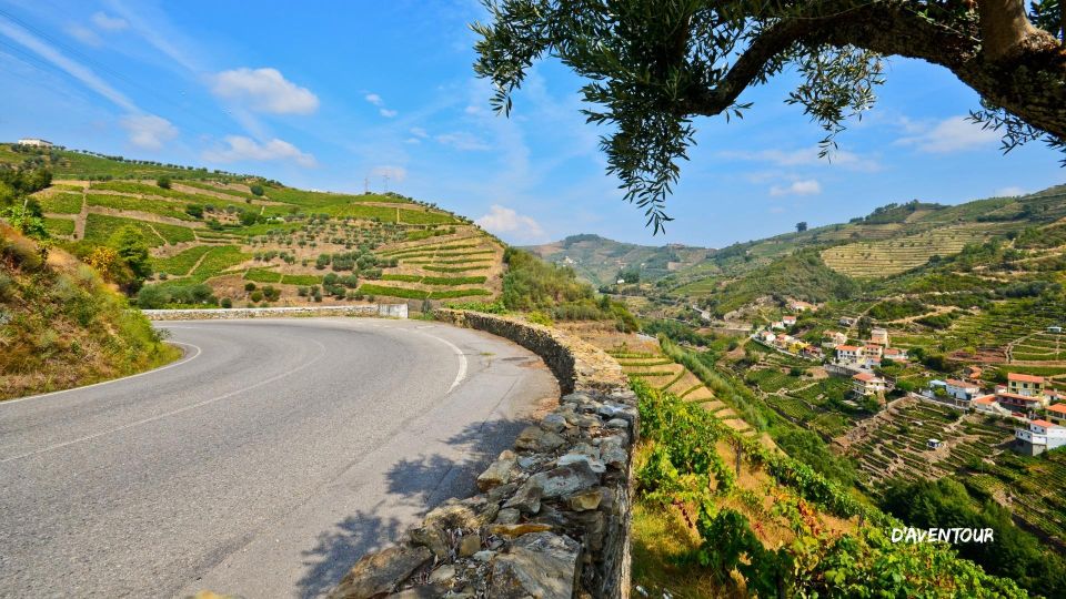 Discover Authentic Douro With Daventour - Frequently Asked Questions