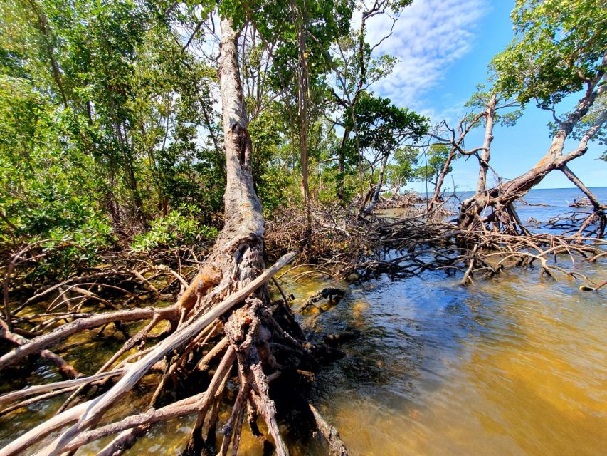 Everglades National Park: Motorboat Eco Tour - Frequently Asked Questions