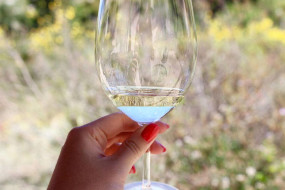 From Argostoli: Private Wine Tasting & Vineyard Tour - Frequently Asked Questions