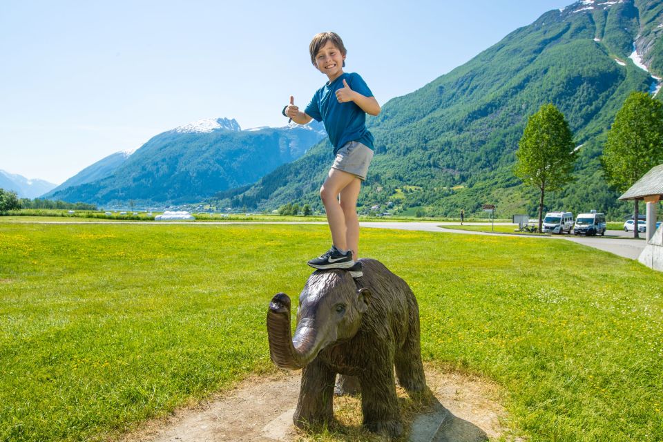 From Balestrand: Guided Fjord & Glacier Tour to Fjærland - Frequently Asked Questions