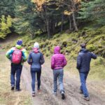 From Barcelona: Small Group Pyrenees Hike & Medieval Village Activity Overview