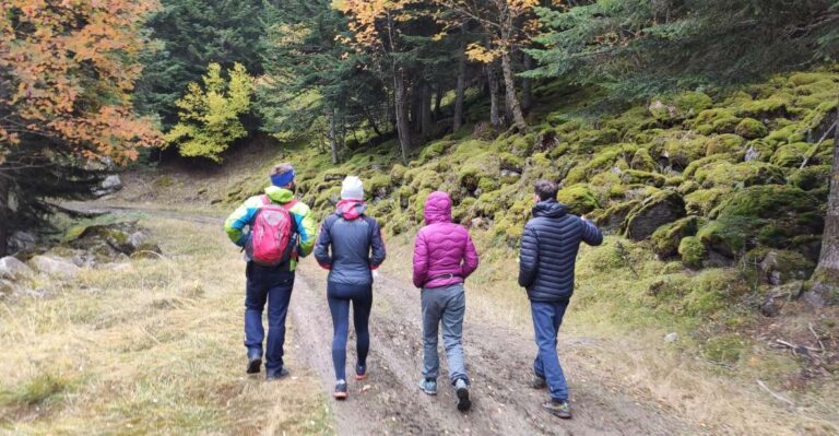 From Barcelona: Small Group Pyrenees Hike & Medieval Village Activity Overview