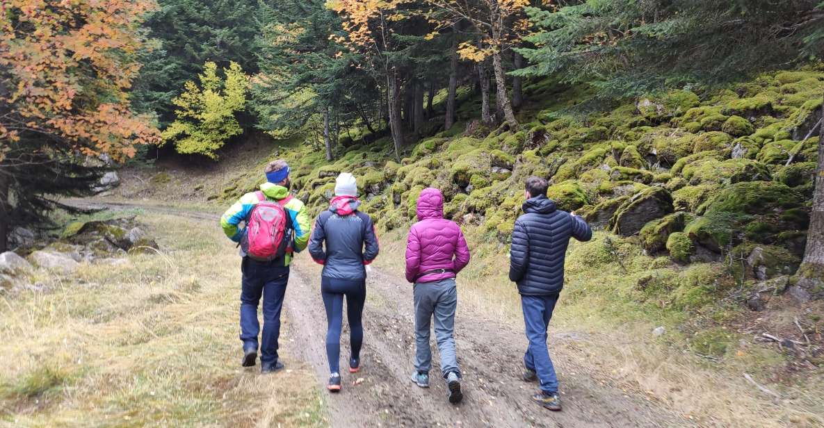 From Barcelona: Small-Group Pyrenees Hike & Medieval Village - Activity Overview