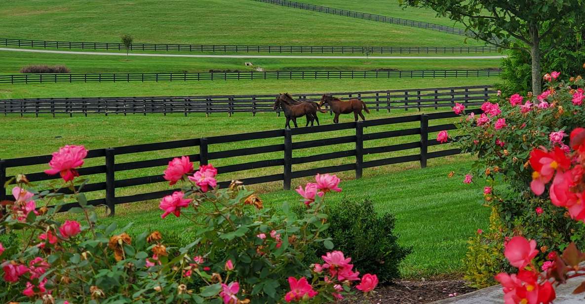 From Lexington: Kentucky Horse Farms Tour - Frequently Asked Questions