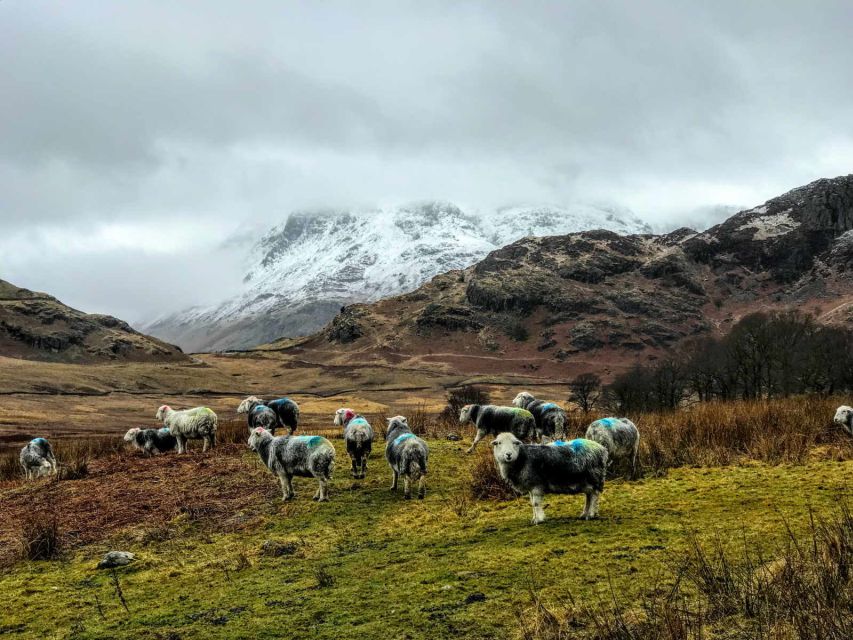 From Liverpool: Lake District Sightseeing Adventure Day Trip - Frequently Asked Questions