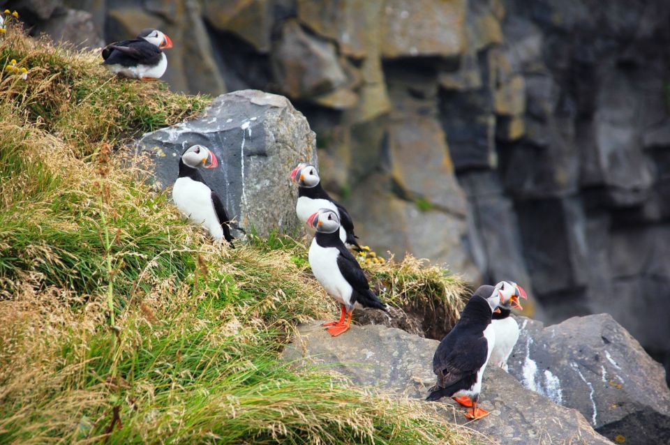 From Reykjavik: South Coast Small-Group Tour - Frequently Asked Questions