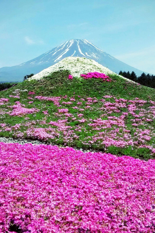 From Tokyo: Mount Fuji Instagram Spots 1-Day Private Tour - Frequently Asked Questions