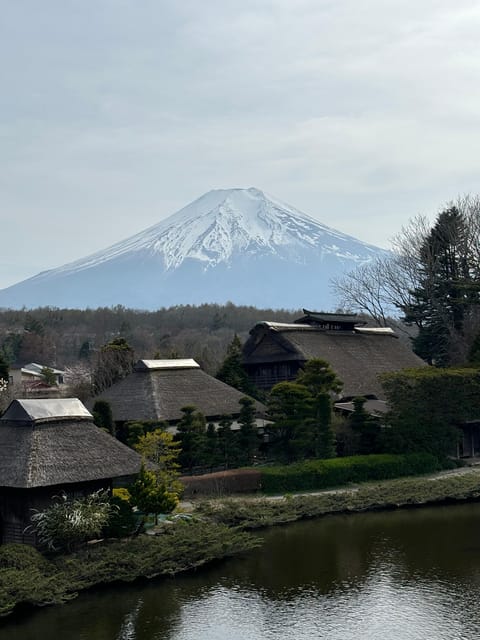 From Tokyo: Mt. Fuji Private Car Day Trip With Guide - Frequently Asked Questions