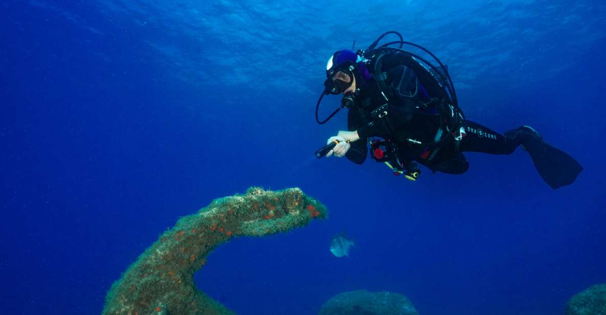 Funchal: Certified Scuba Diving, Guided Tour - Frequently Asked Questions