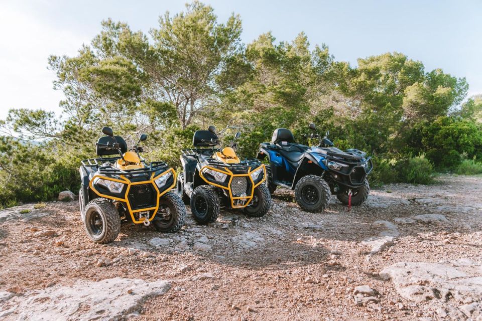 Ibiza: ATV Quad Sightseeing Excursion - Things To Known