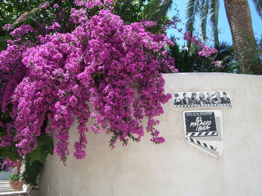 IBIZA : Old Town Guided Tour With a Local - Things To Known