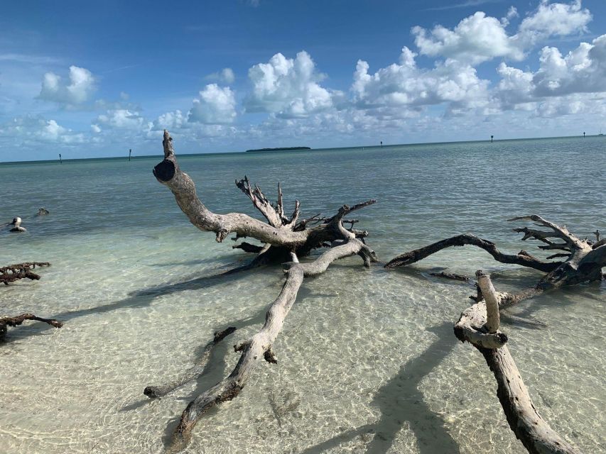 Islamorada: Guided Tour With Local Highlights - Frequently Asked Questions