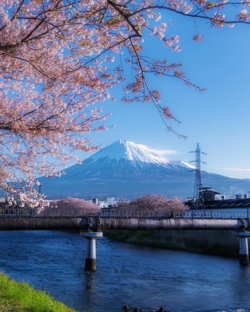 Kanto 10-Hour Chartered Day Trip｜Mt. Fuji Day Trip - Frequently Asked Questions