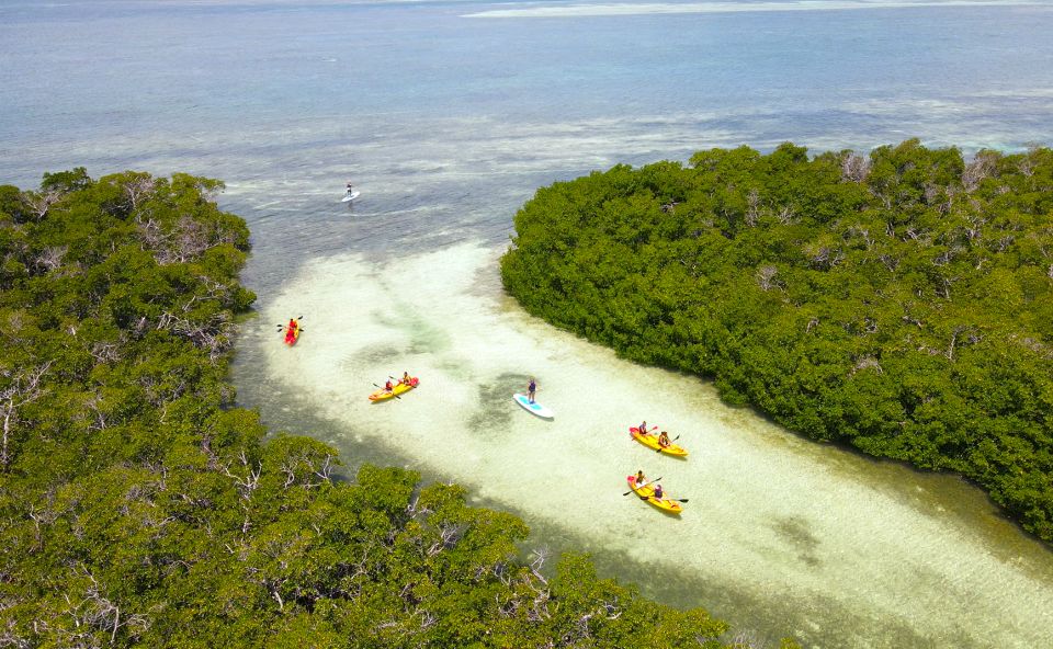 Key West: Sandbar Excursion & Kayak Tour With Lunch & Drinks - Frequently Asked Questions