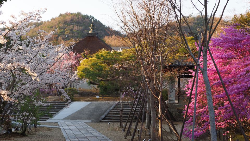 Kyoto: Ninnaji Temple Entry Ticket - Recap