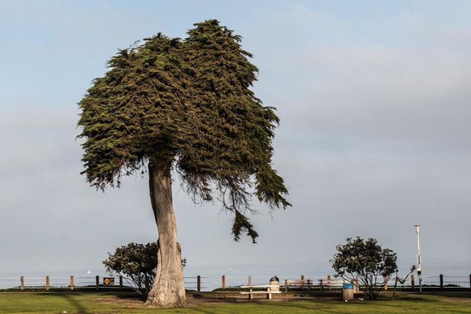 La Jolla: Self-Guided Smartphone Audio Tour - Frequently Asked Questions