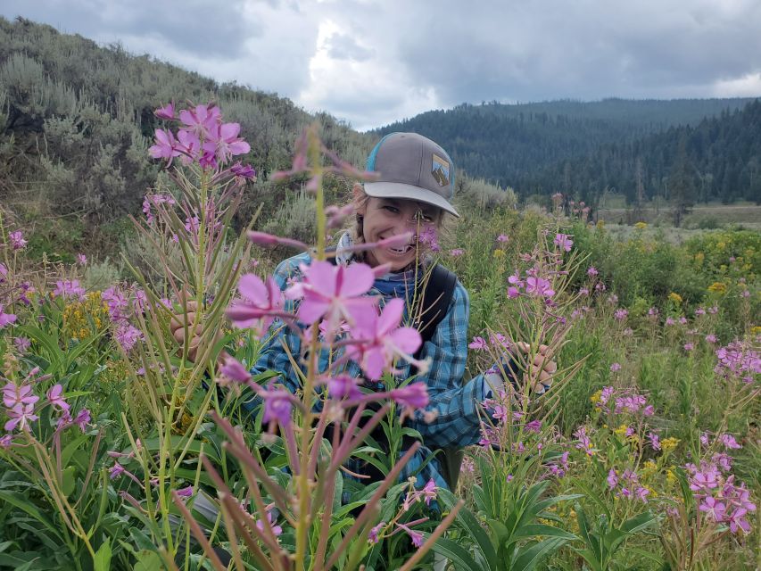 Lamar Valley: Safari Hiking Tour With Lunch - Frequently Asked Questions