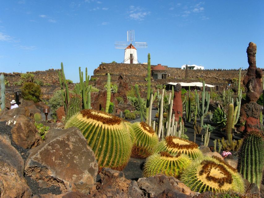 Lanzarote Coast-2-Coast Tour - Things To Known