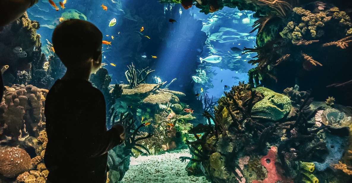 Lisbon: Oceanarium Of Lisbon Entrance Ticket - Frequently Asked Questions