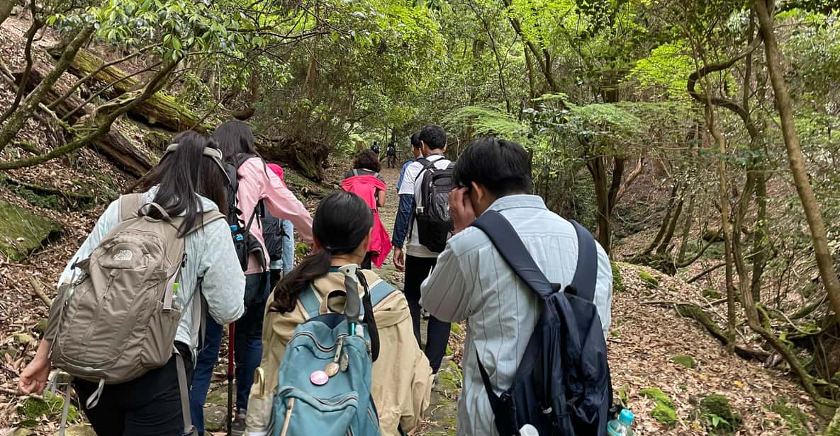 Nara Hiking Tour Review: Buddha, Deer, and Shrines - Frequently Asked Questions