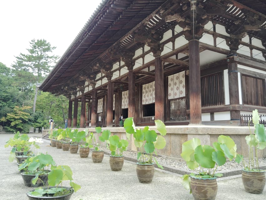 Nara: Yakushi-ji & Toshodai-ji Tour Review - Frequently Asked Questions