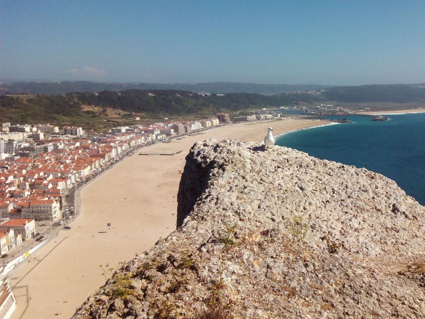 Nazaré Waves and Medieval Village of Óbidos Private Tour - Recap