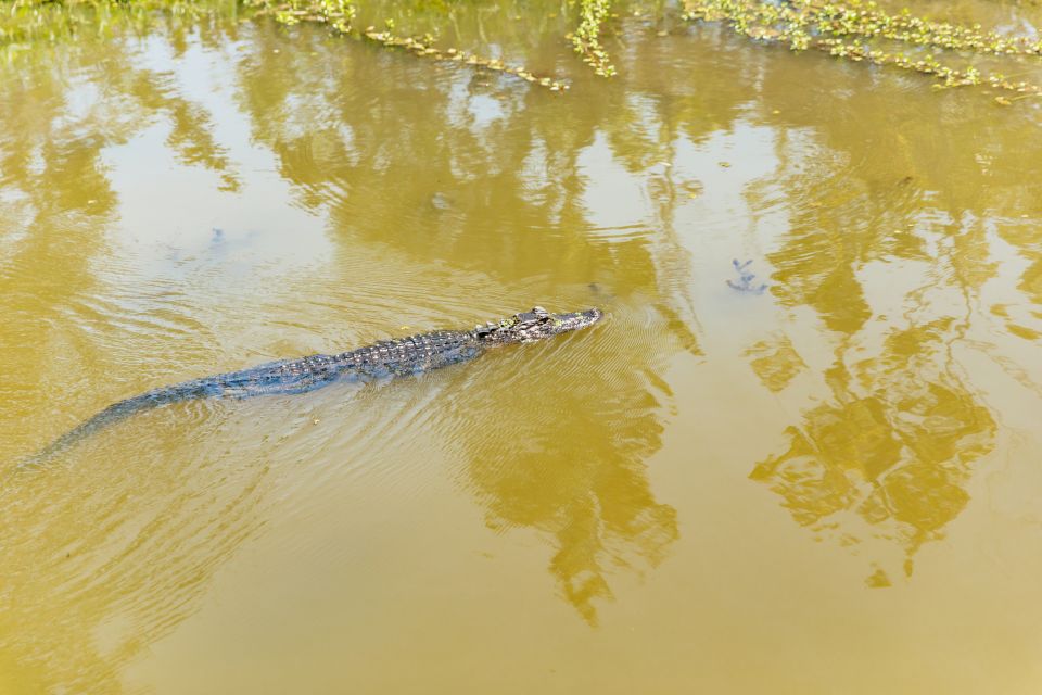 New Orleans: Bayou Tour in Jean Lafitte National Park - Frequently Asked Questions