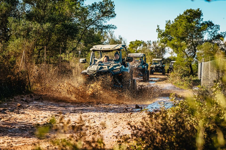 Palma De Mallorca: Off/On Road Buggy Tour With 2 or 4 Seater - Things To Known