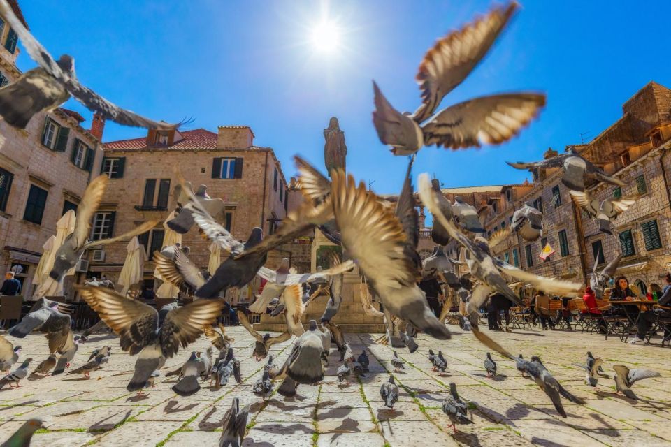 Private Game of Thrones Walking Tour - From Dubrovnik - Frequently Asked Questions