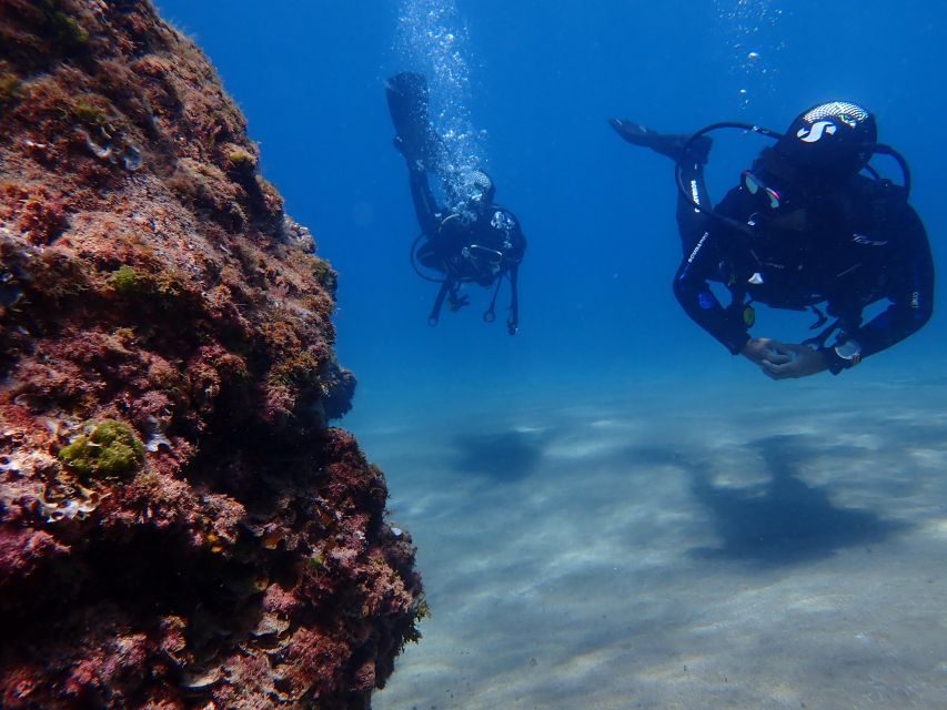 Puerto Del Carmen: Try Scuba Diving From the Beach - Things To Known