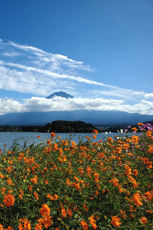 Tokyo, Mount Fuji and Hakone 3 Days Tour - Frequently Asked Questions